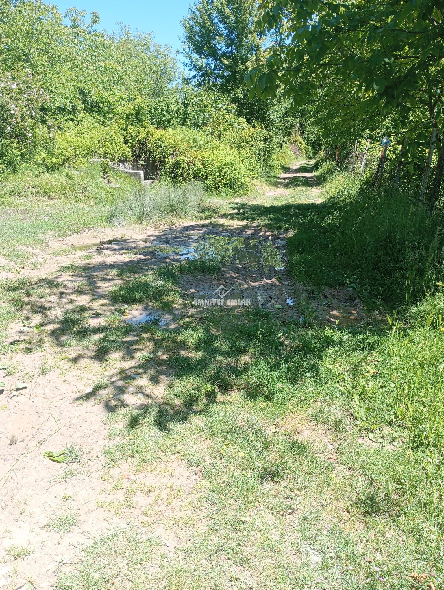 KDZ EREĞLİ KIZILCAPINARDA YOL , SU , ELEKTRİK PROBLEMİ OLMAYAN SATILIK FINDIK TARLASI