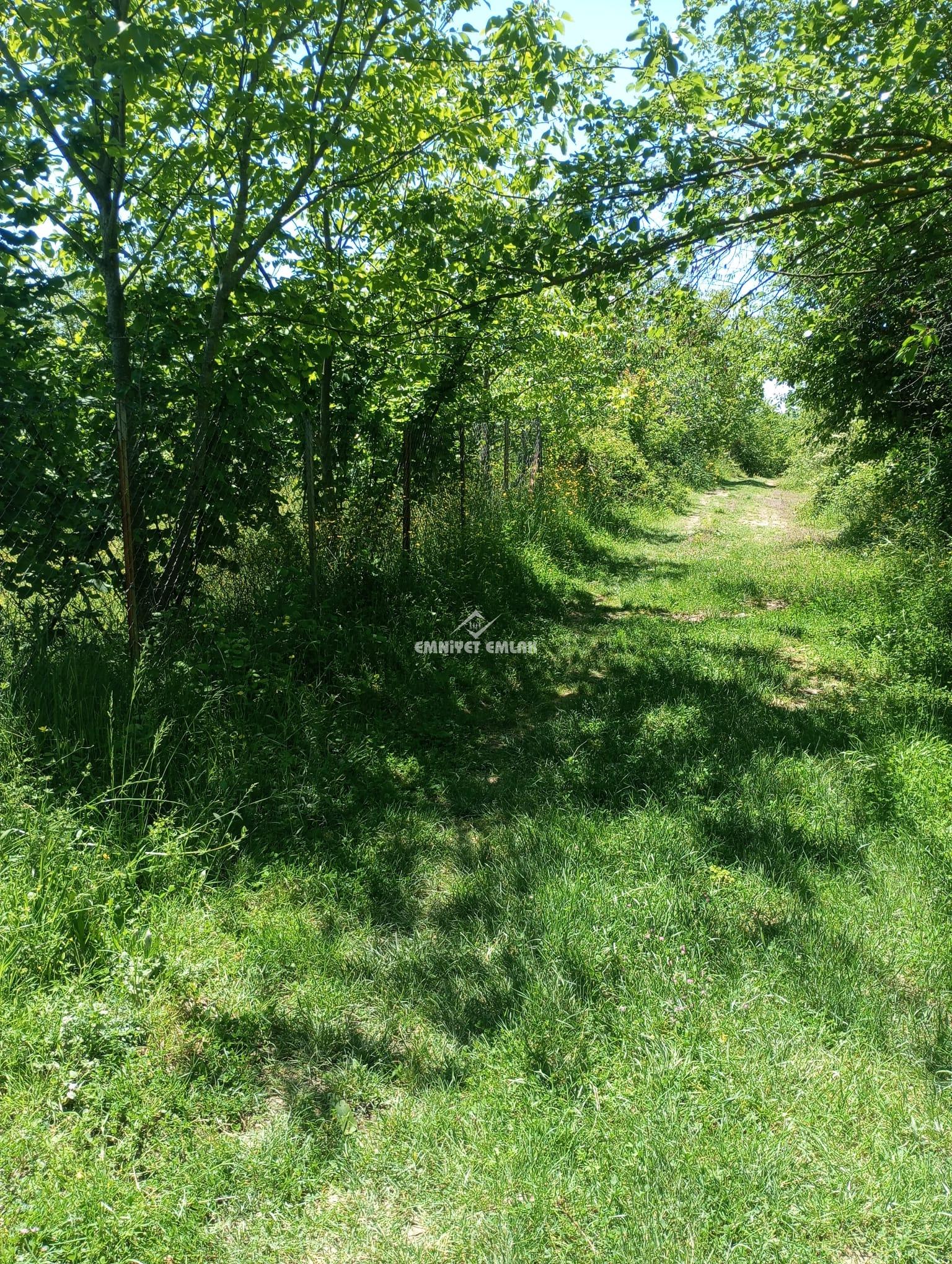 KDZ EREĞLİ KIZILCAPINARDA YOL , SU , ELEKTRİK PROBLEMİ OLMAYAN SATILIK FINDIK TARLASI