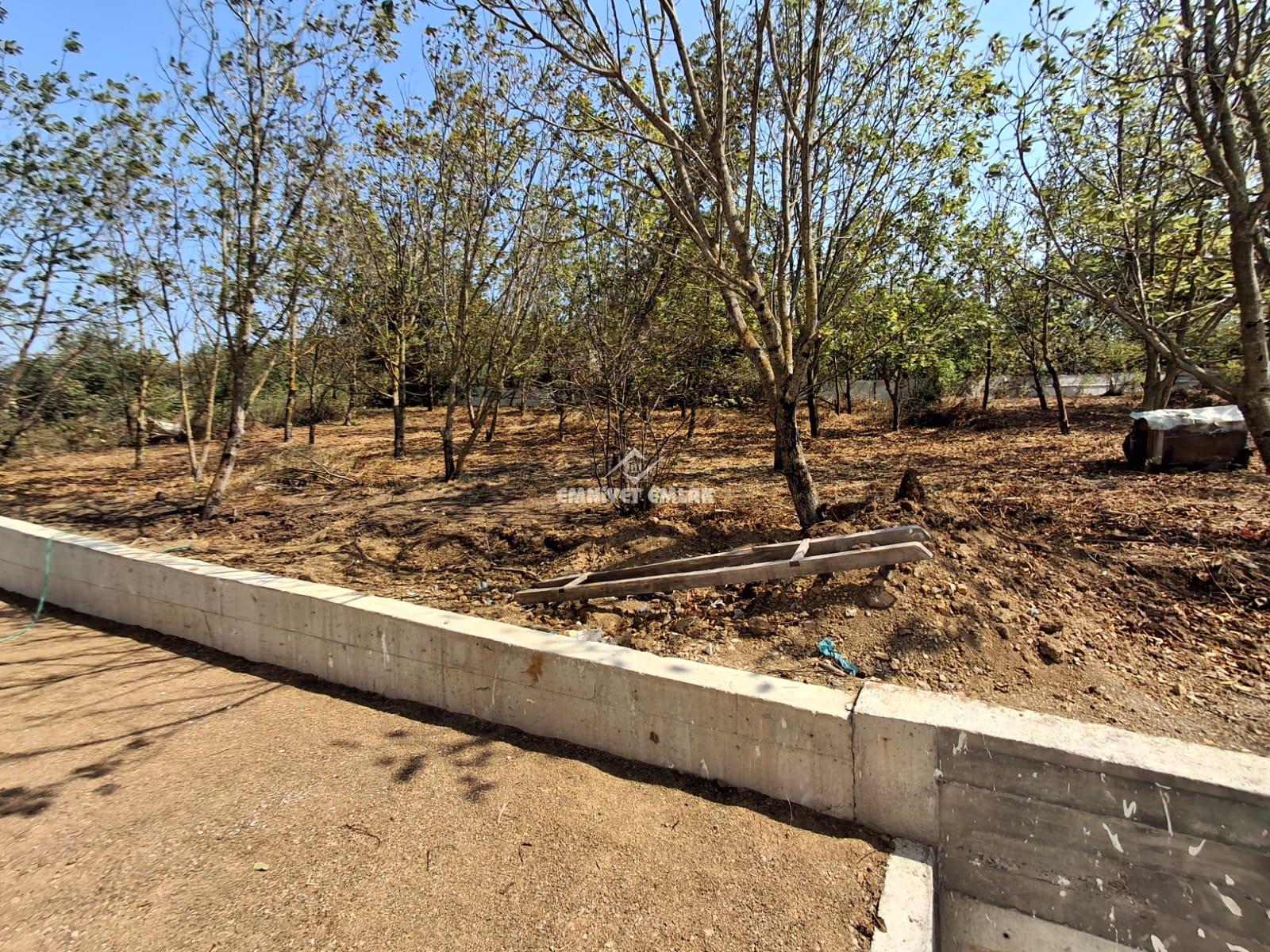 KDZ EREĞLİ DORUK FAKÜLTE BÖLGESİNDE (İSTEĞE GÖRE EŞYALI / EŞYASIZ ) 1+1 KİRALIK SIFIR DAİRE