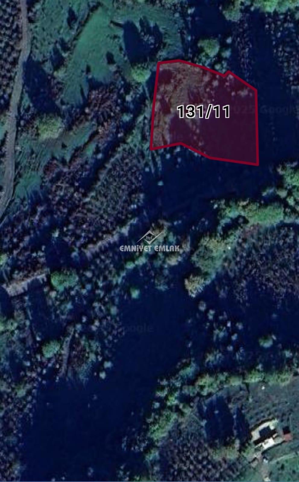 KDZ EREĞLİ RAMAZANLI KÖYÜNDE SATILIK FINDIK TARLASI