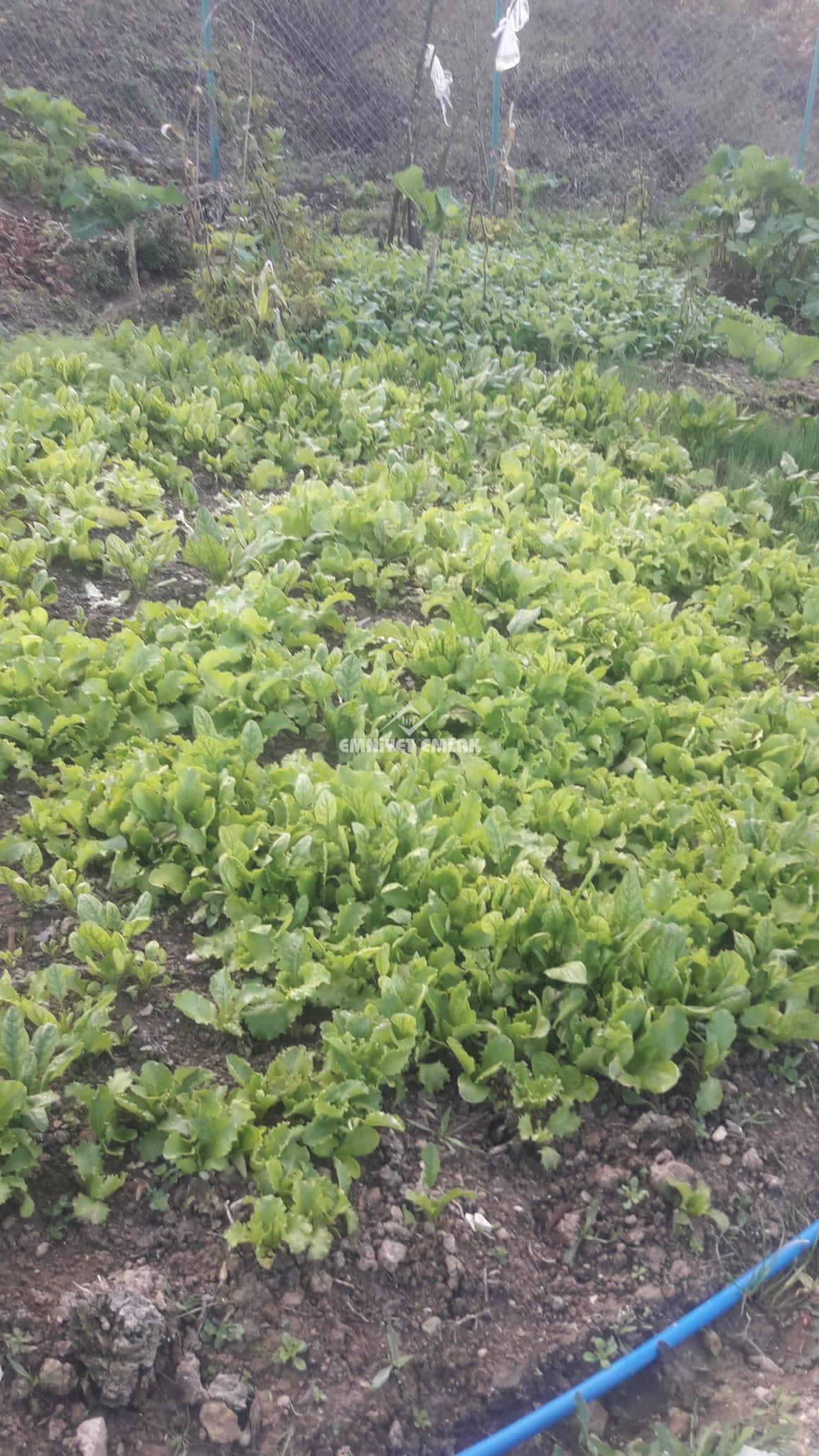 Ereğli Güneşli Hacı Osmanlar 1.355m2 Satılık Arsa