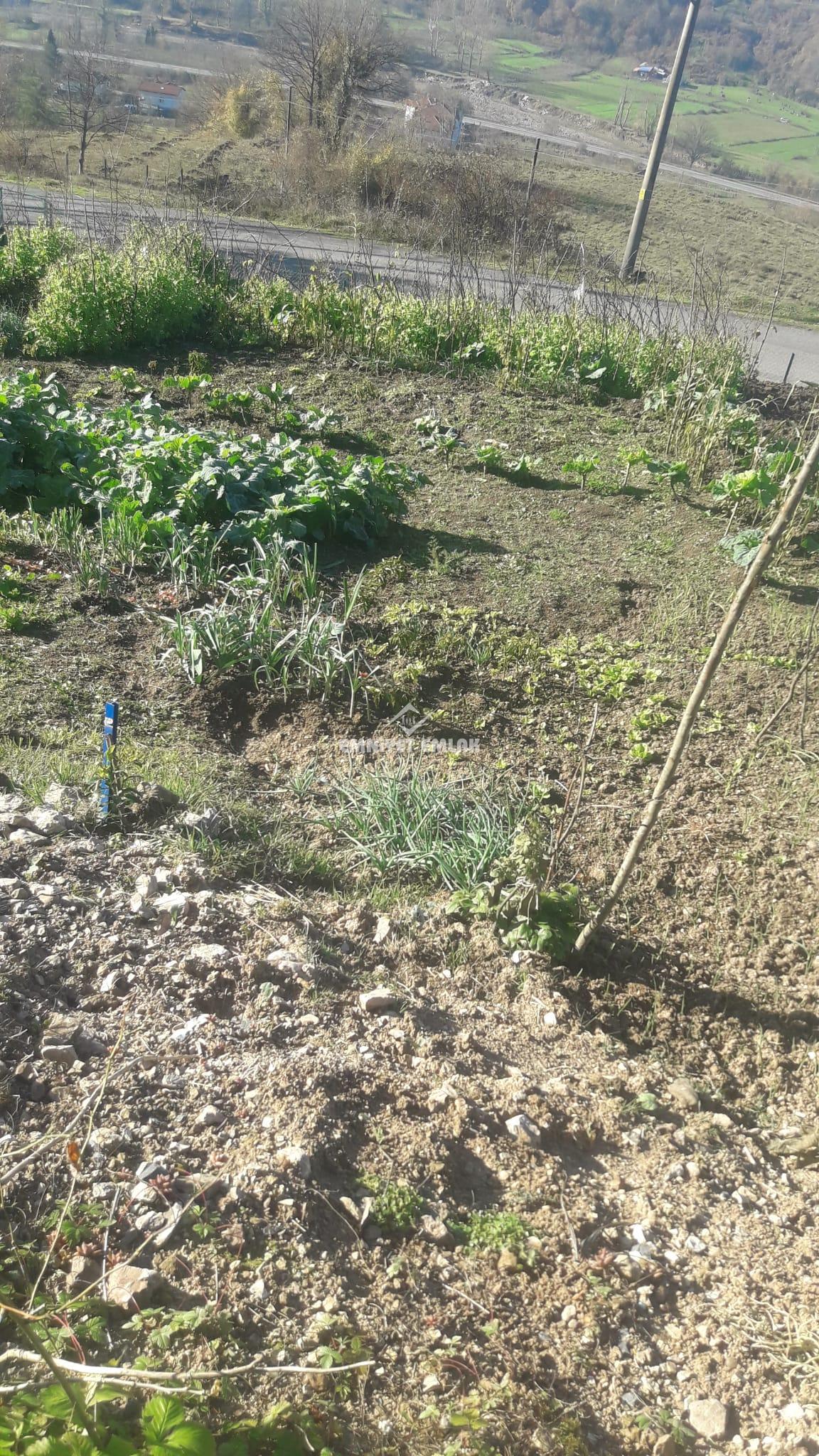 Ereğli Güneşli Hacı Osmanlar 1.355m2 Satılık Arsa