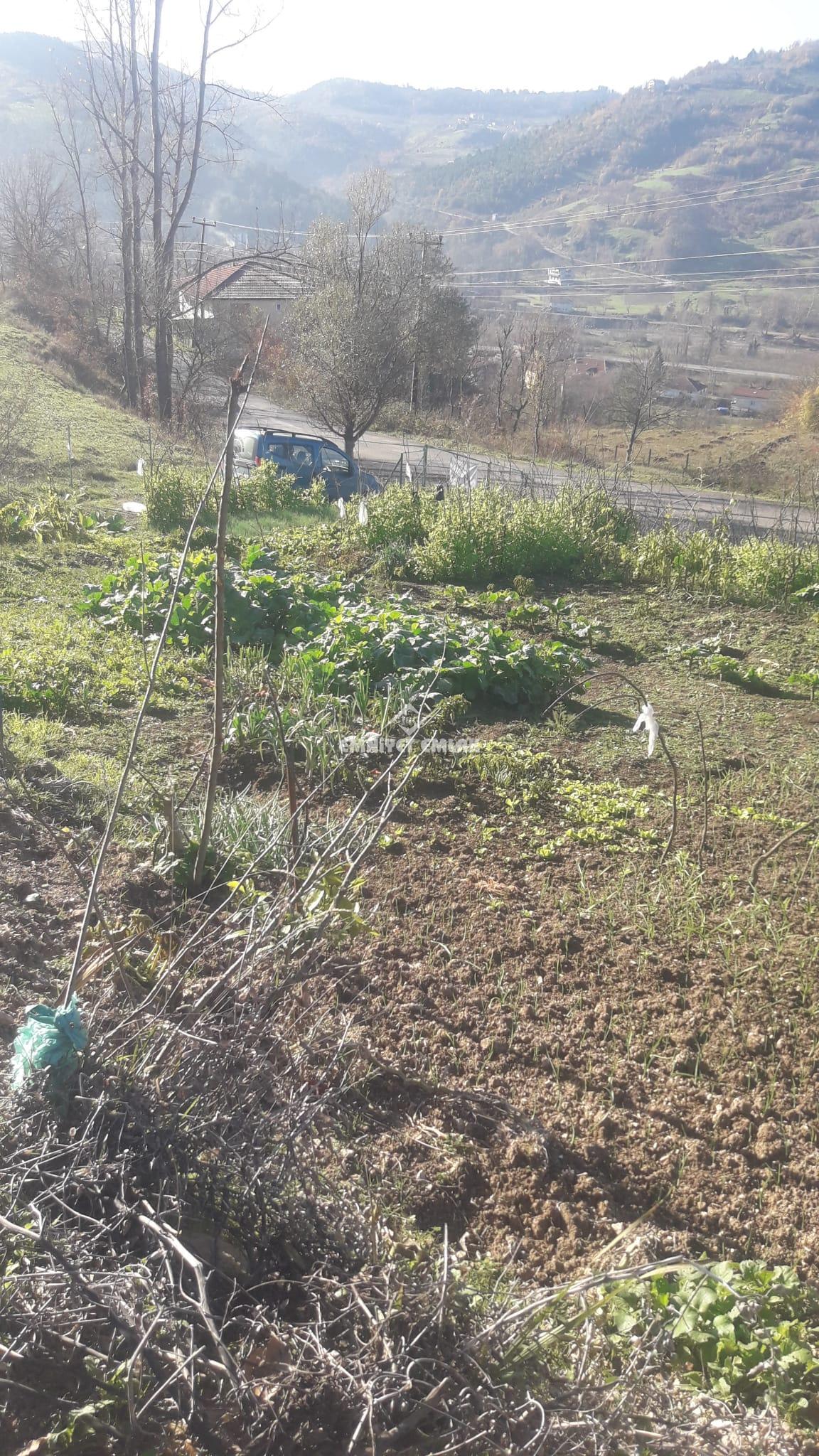 Ereğli Güneşli Hacı Osmanlar 1.355m2 Satılık Arsa