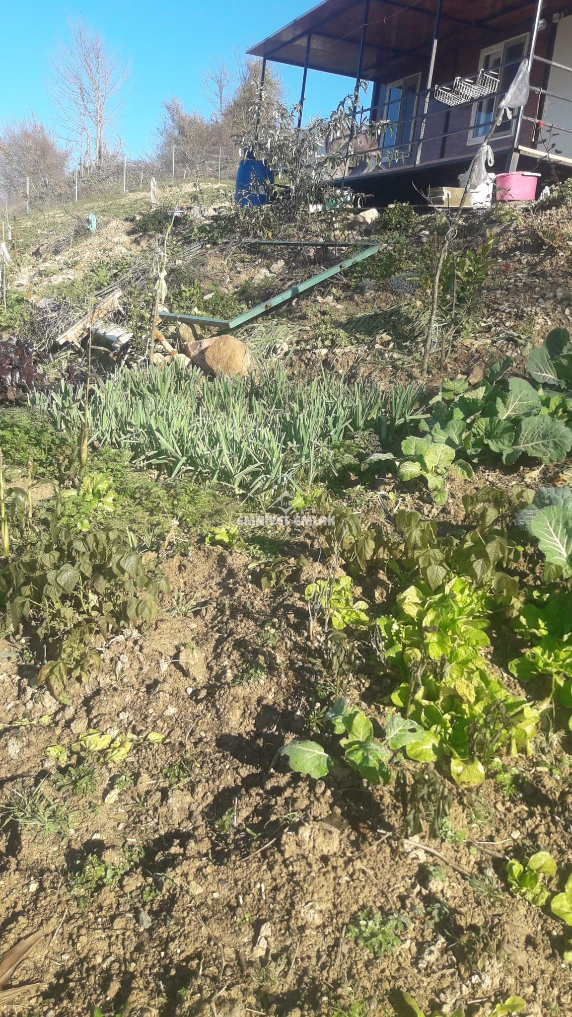 Ereğli Güneşli Hacı Osmanlar 1.355m2 Satılık Arsa