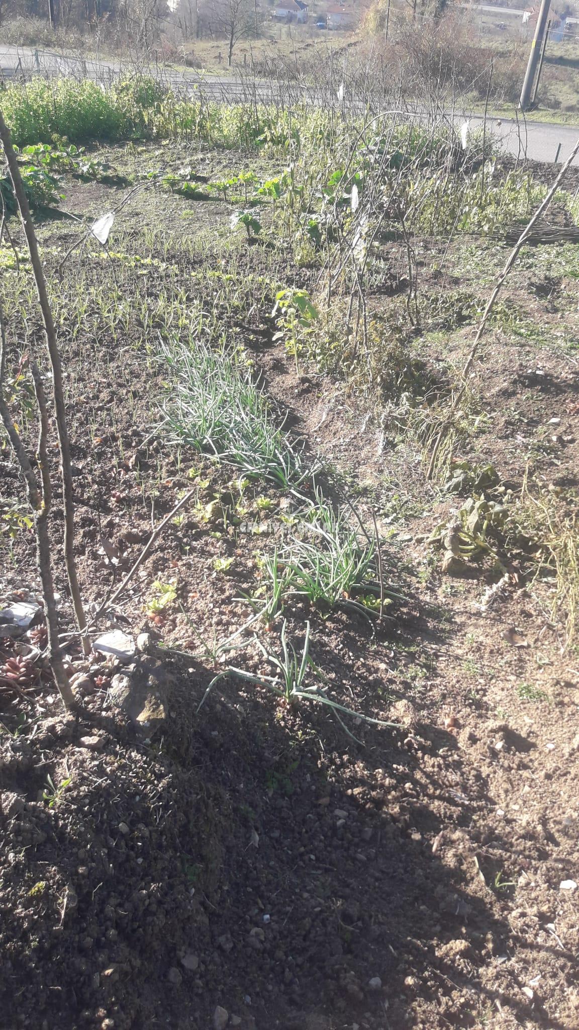 Ereğli Güneşli Hacı Osmanlar 1.355m2 Satılık Arsa