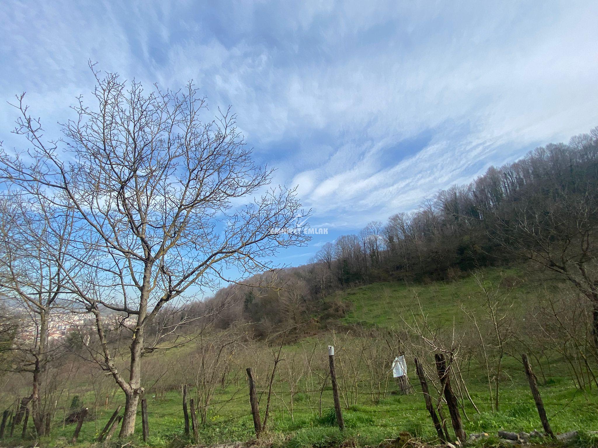 KDZ EREĞLİ EĞİTİM FAKÜLTESİ BÖLGESİNDE 1+1 EŞYALI SATILIK DAİRE