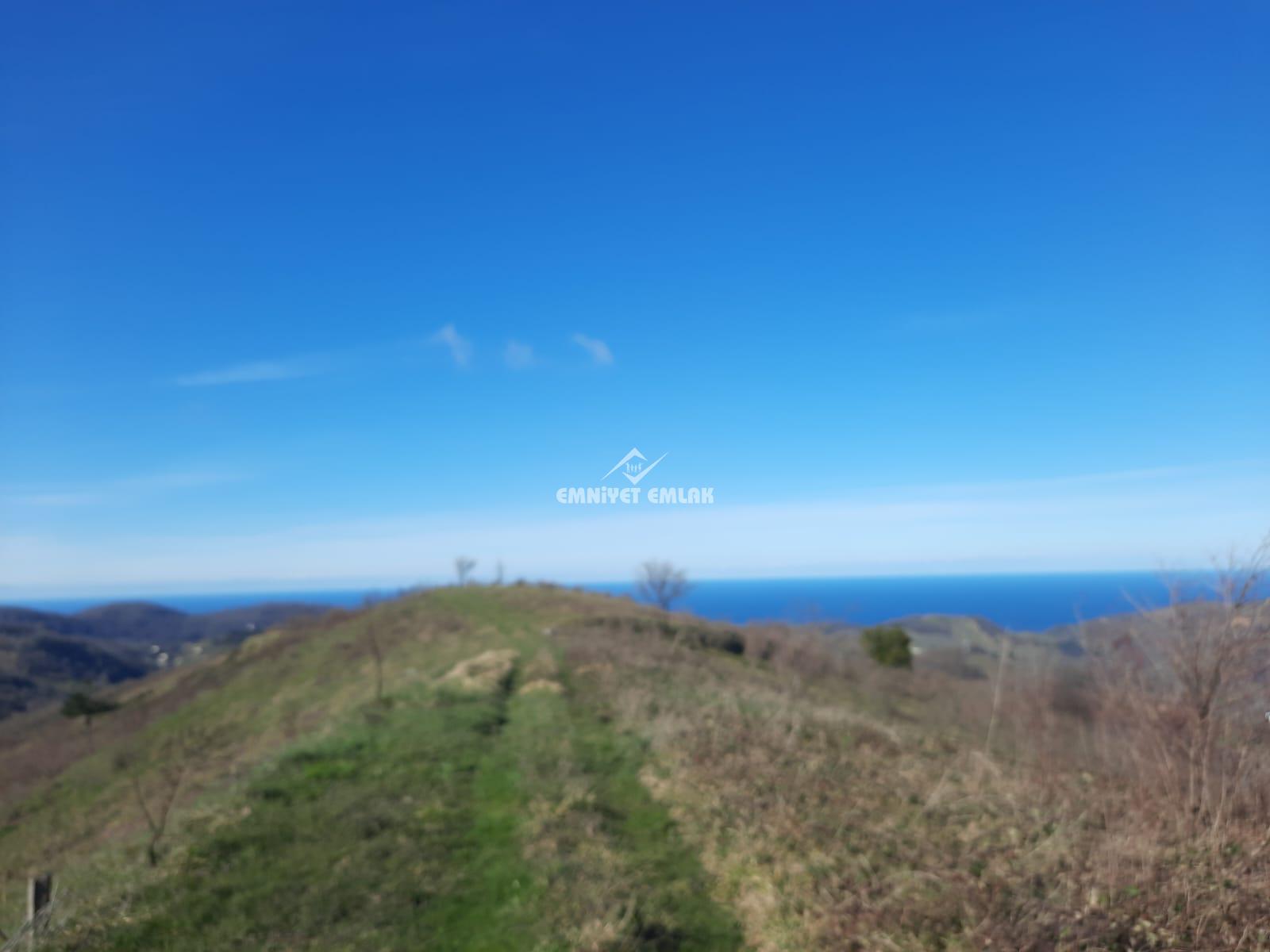 Ereğli Bayat Köyü’nde Deniz Manzaralı Satılık Tarla (1978 m²)