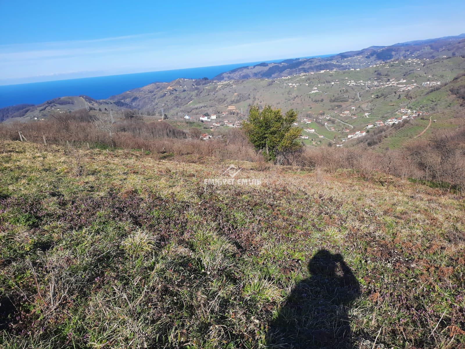 Ereğli Bayat Köyü’nde Deniz Manzaralı Satılık Tarla (1978 m²)