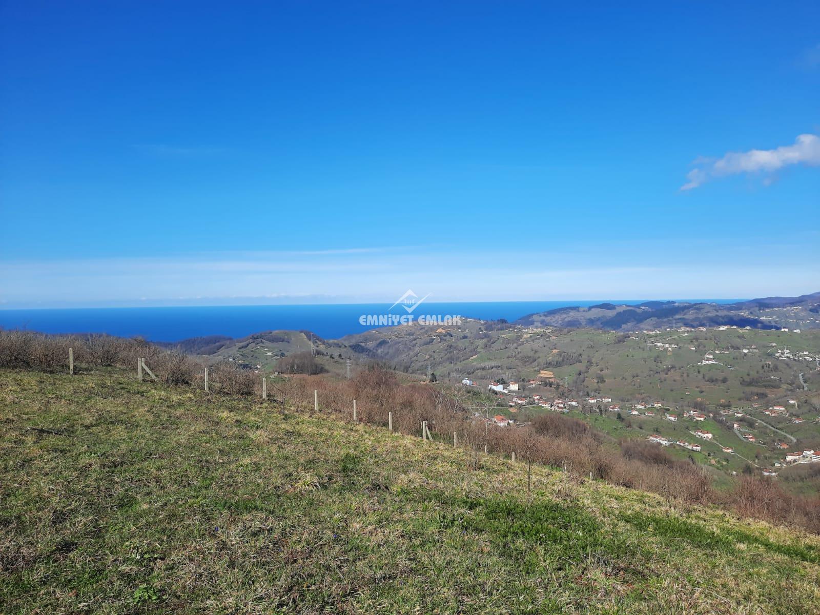Ereğli Bayat Köyü’nde Deniz Manzaralı Satılık Tarla (1978 m²)