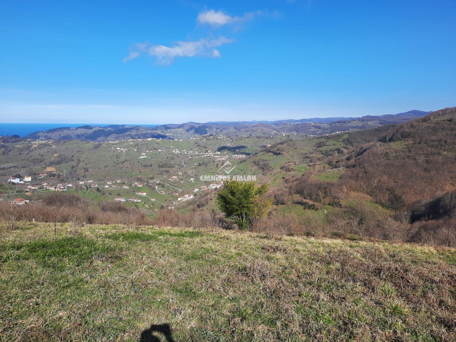 Ereğli Bayat Köyü’nde Deniz Manzaralı Satılık Tarla (1978 m²)