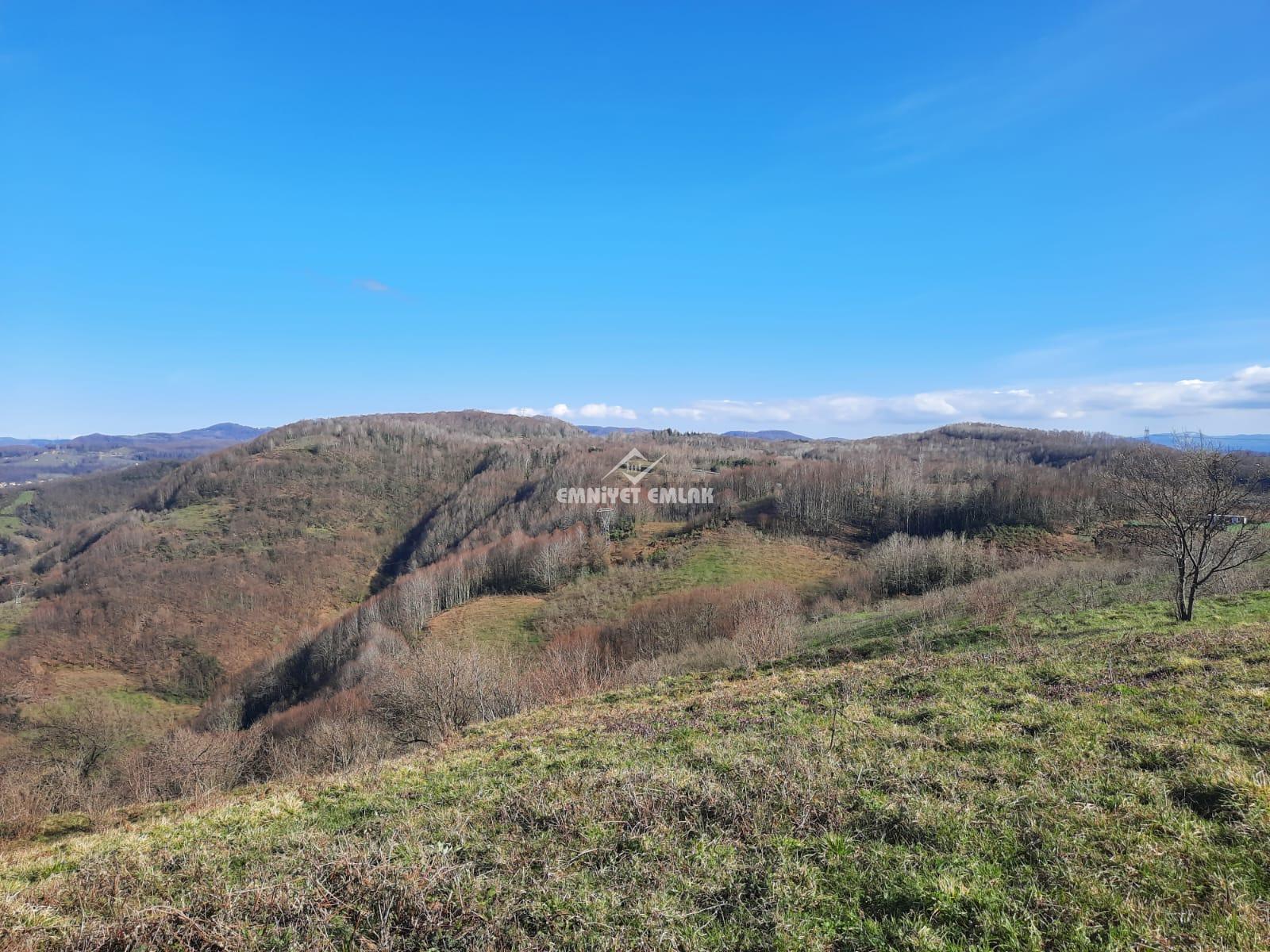 Ereğli Bayat Köyü’nde Deniz Manzaralı Satılık Tarla (1978 m²)