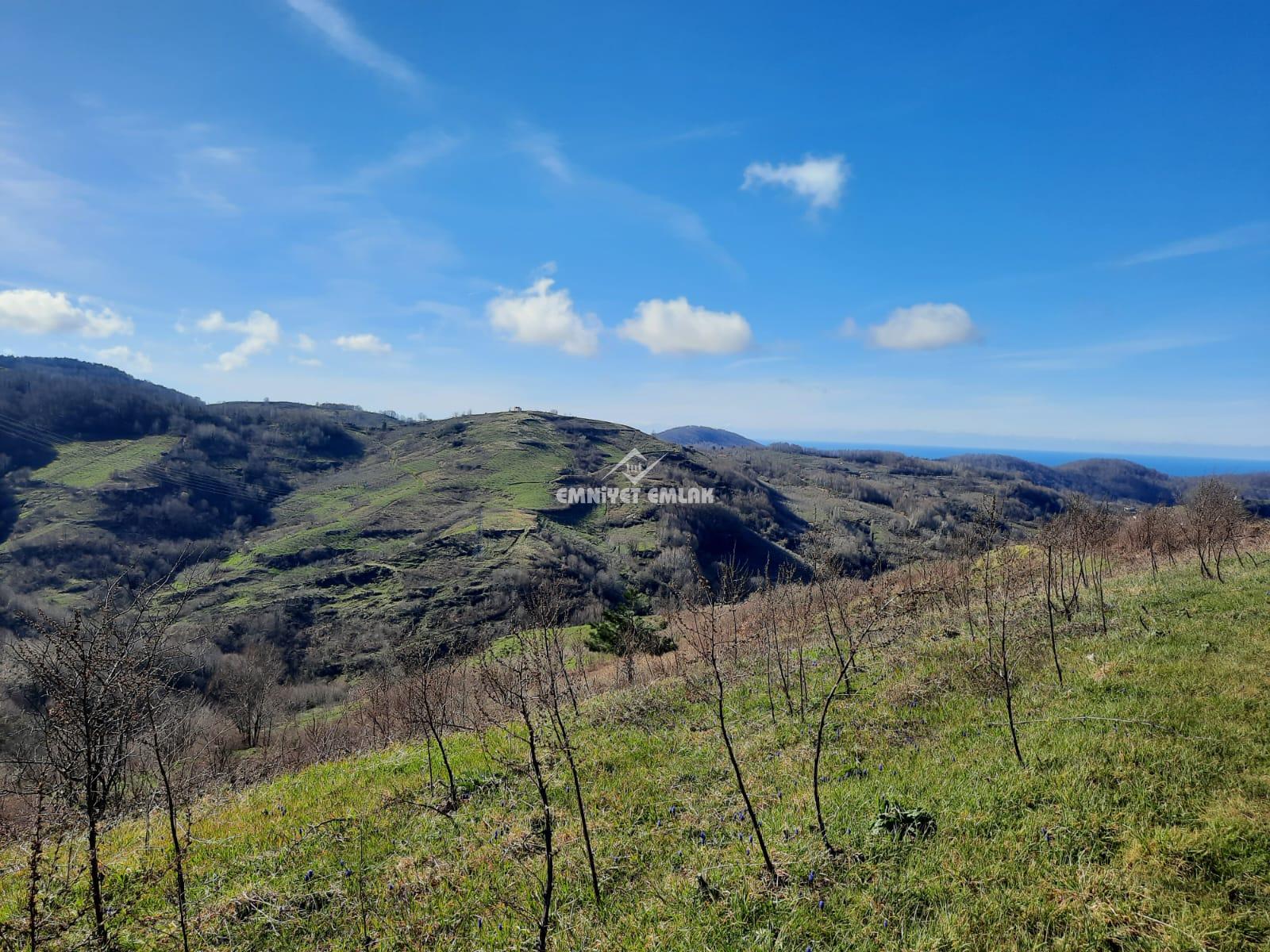 Ereğli Bayat Köyü’nde Deniz Manzaralı Satılık Tarla (1978 m²)