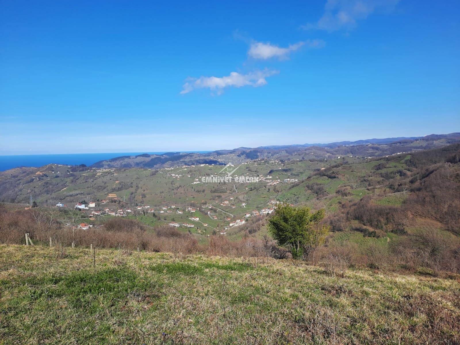 Ereğli Bayat Köyü’nde Deniz Manzaralı Satılık Tarla (1978 m²)