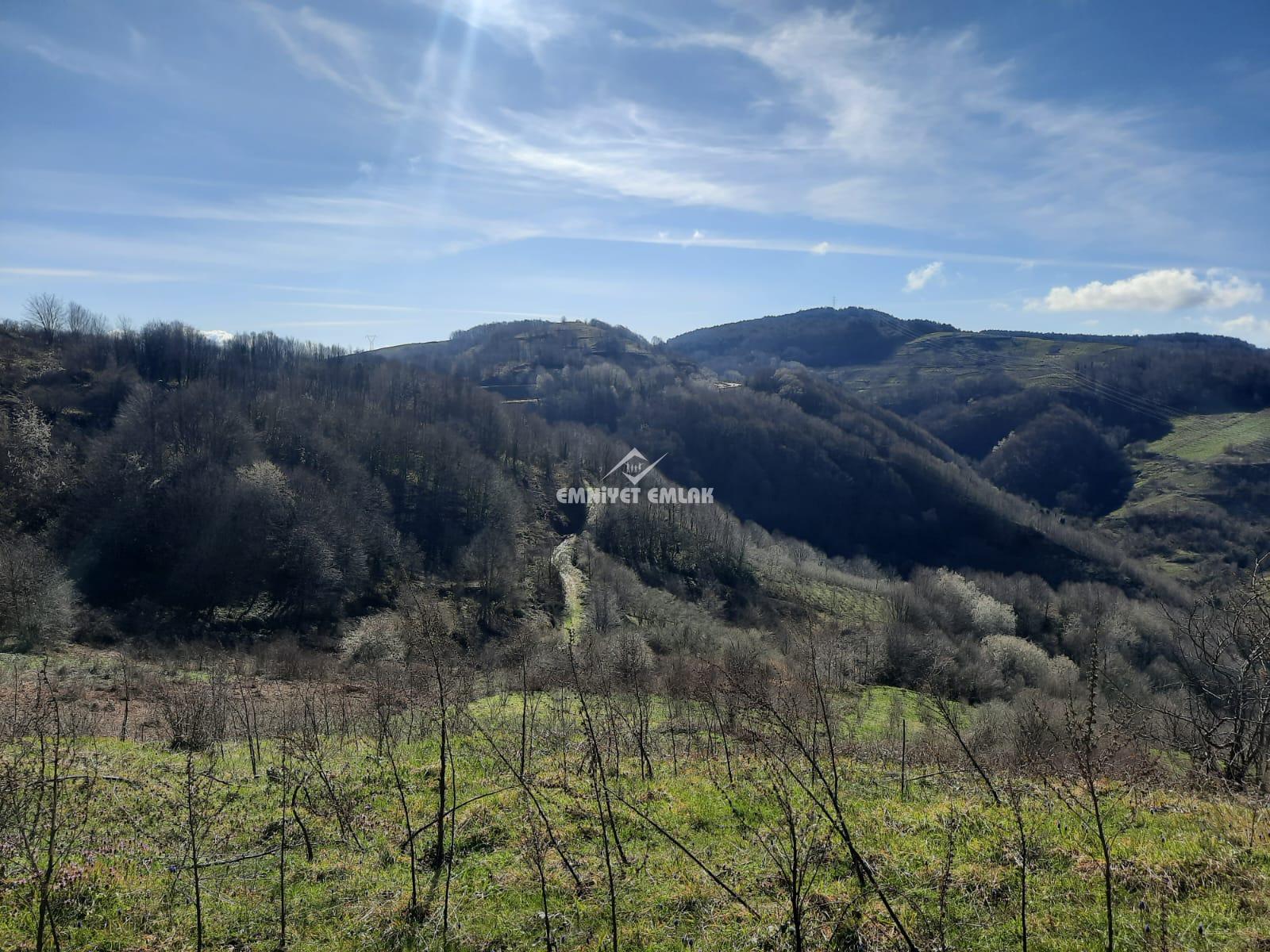 Ereğli Bayat Köyü’nde Deniz Manzaralı Satılık Tarla (1978 m²)