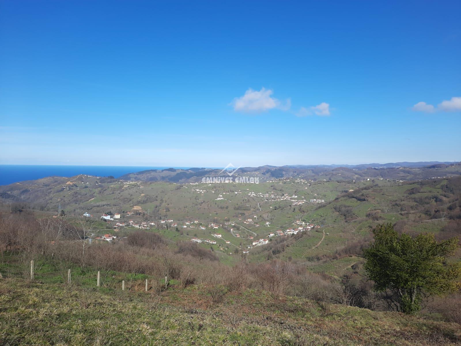 Ereğli Bayat Köyü’nde Deniz Manzaralı Satılık Tarla (1978 m²)