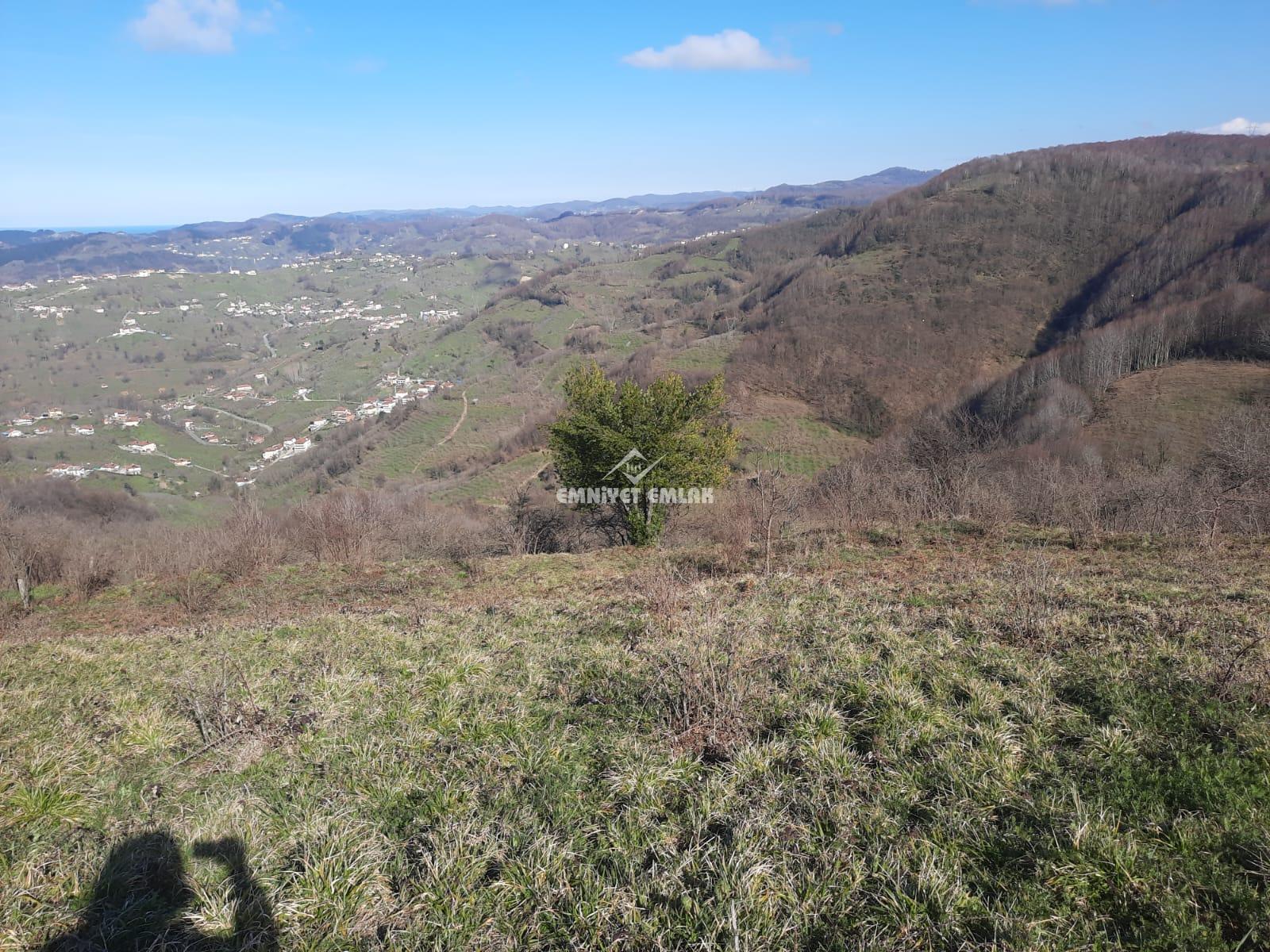 Ereğli Bayat Köyü’nde Deniz Manzaralı Satılık Tarla (1978 m²)