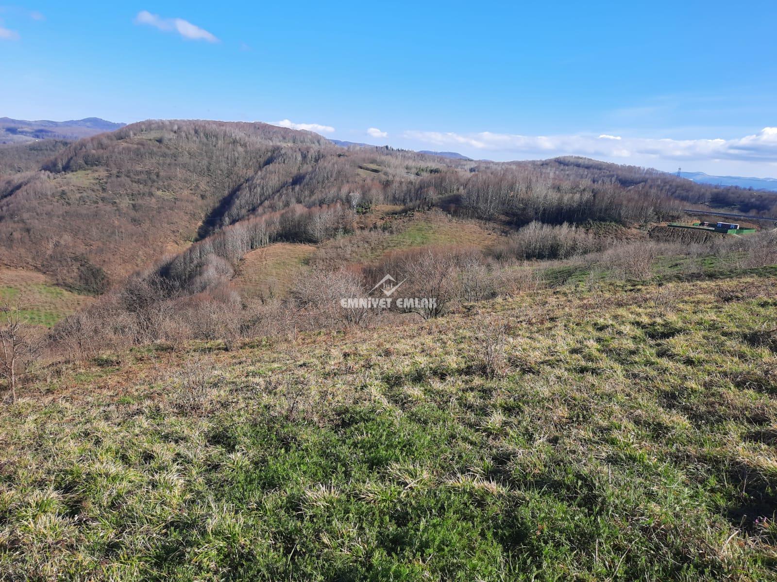 Ereğli Bayat Köyü’nde Deniz Manzaralı Satılık Tarla (1978 m²)
