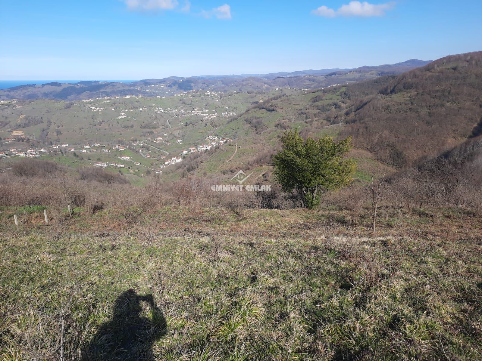 Ereğli Bayat Köyü’nde Deniz Manzaralı Satılık Tarla (1978 m²)