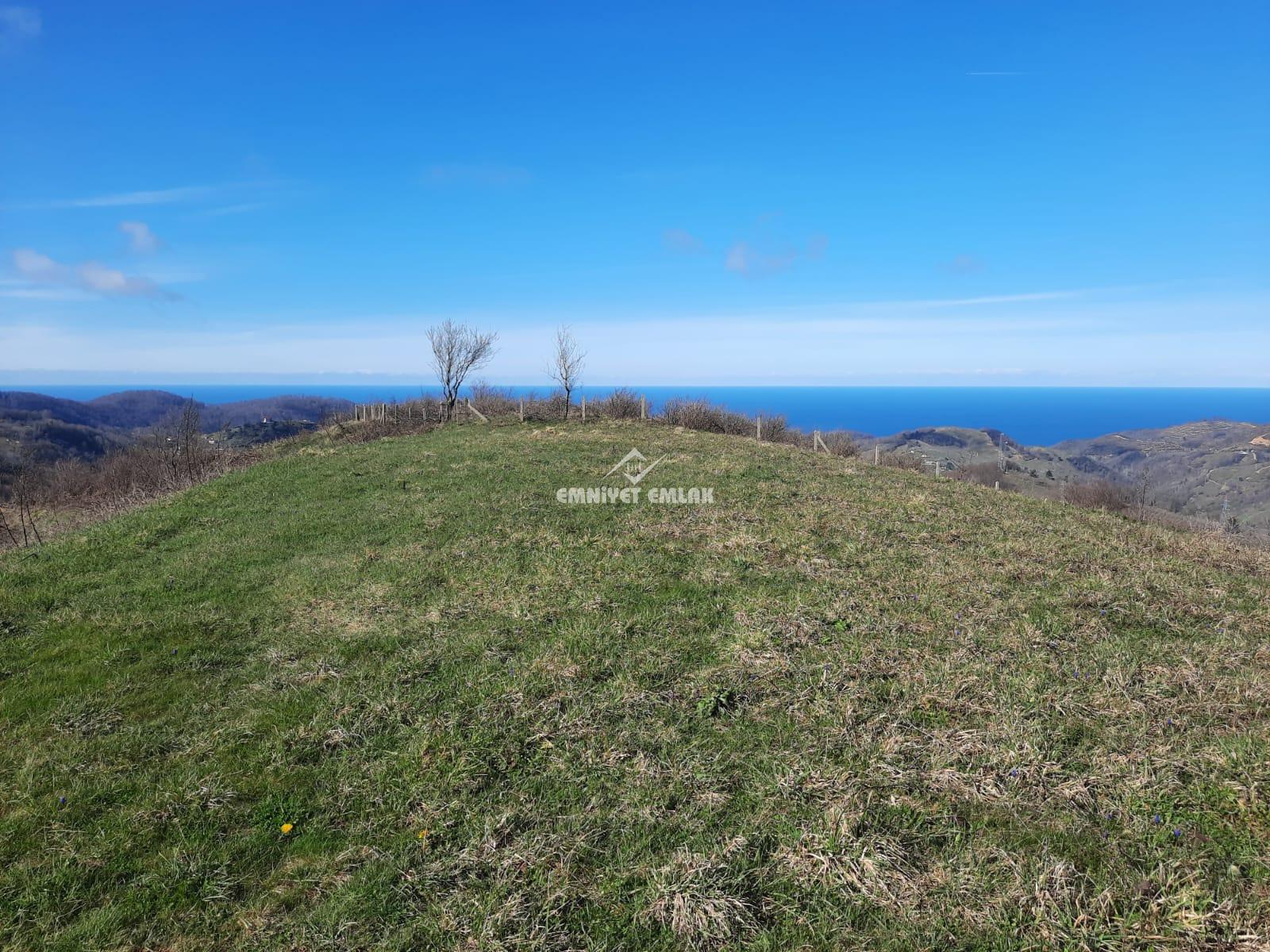 Ereğli Bayat Köyü’nde Deniz Manzaralı Satılık Tarla (1978 m²)
