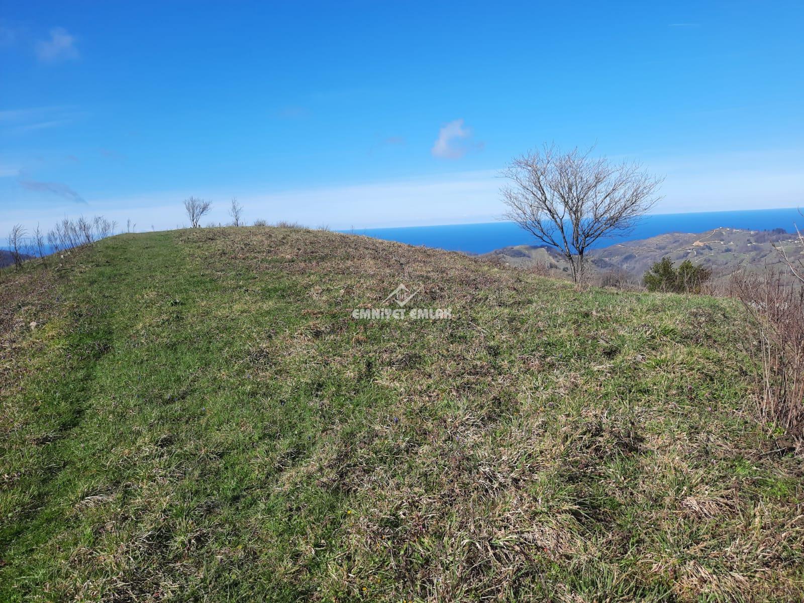 Ereğli Bayat Köyü’nde Deniz Manzaralı Satılık Tarla (1978 m²)