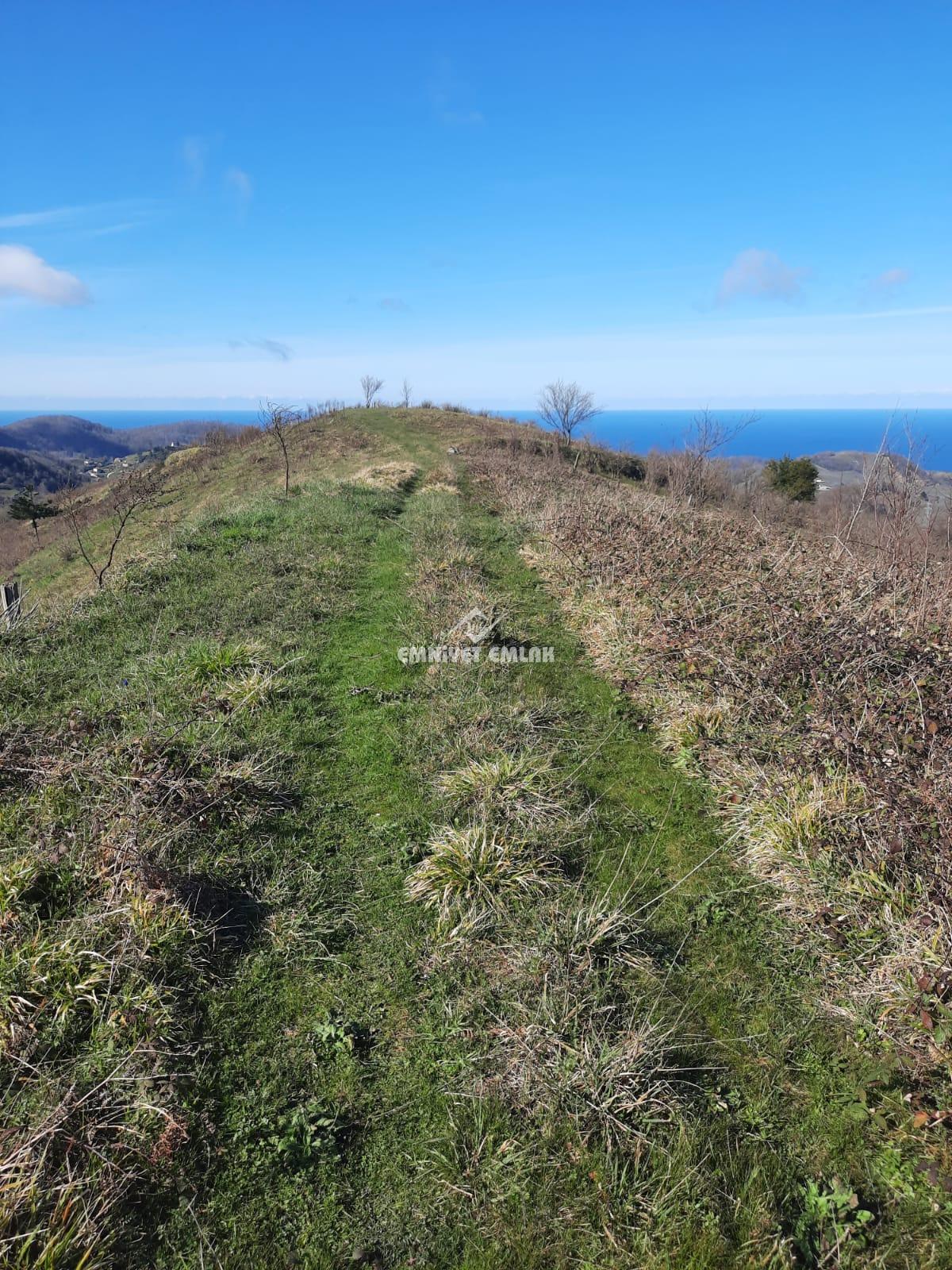 Ereğli Bayat Köyü’nde Deniz Manzaralı Satılık Tarla (1978 m²)