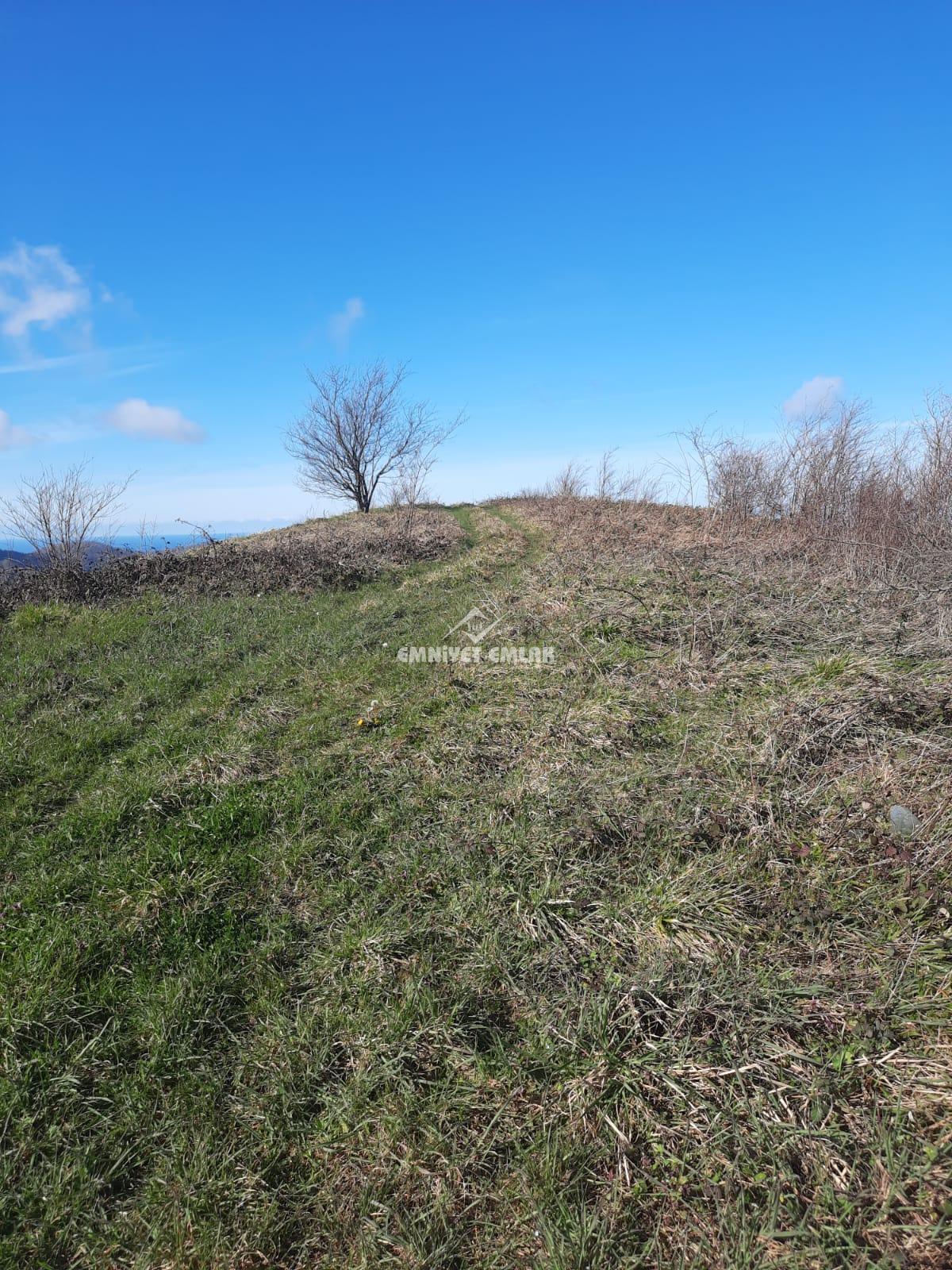 Ereğli Bayat Köyü’nde Deniz Manzaralı Satılık Tarla (1978 m²)