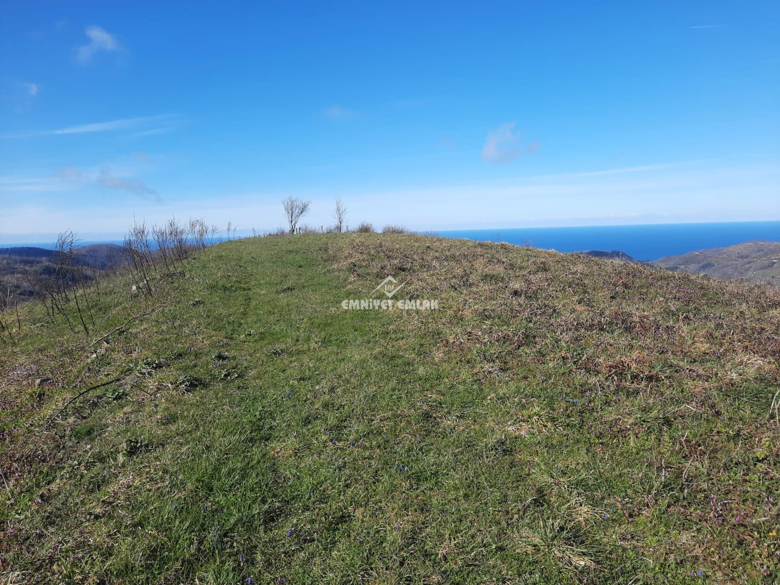 Ereğli Bayat Köyü’nde Deniz Manzaralı Satılık Tarla (1978 m²)