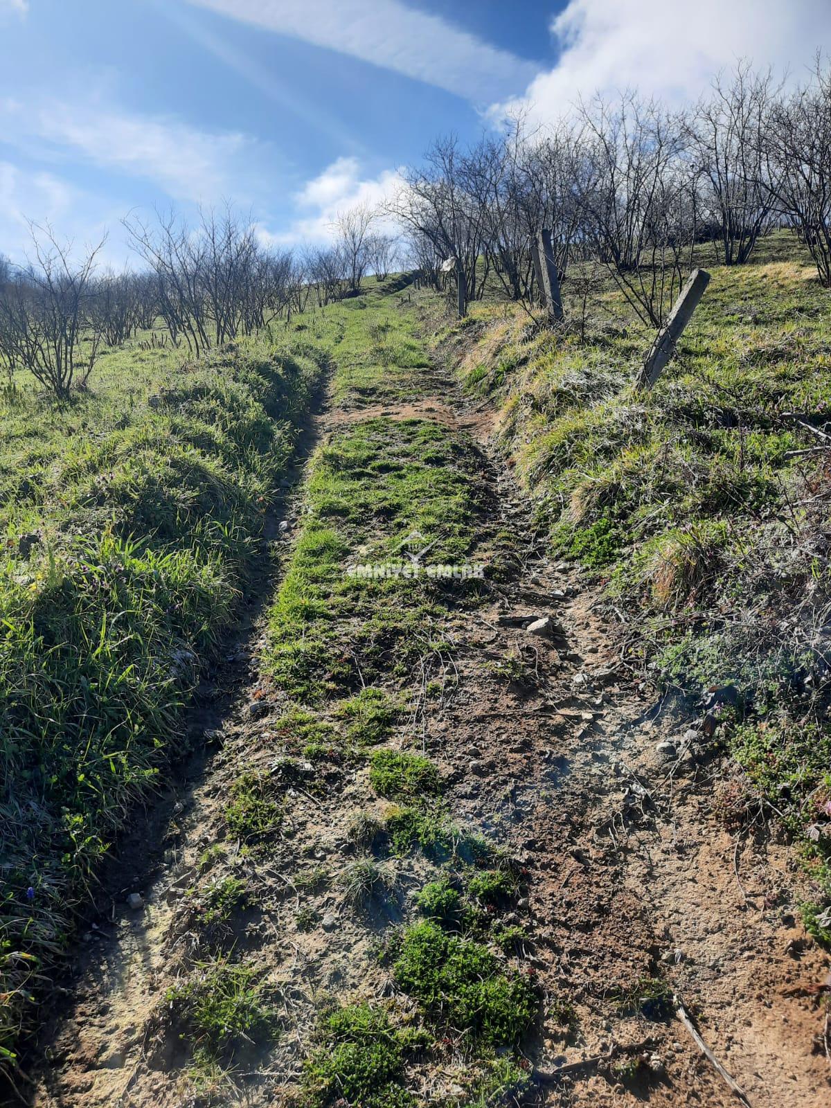 Ereğli Bayat Köyü’nde Deniz Manzaralı Satılık Tarla (1978 m²)