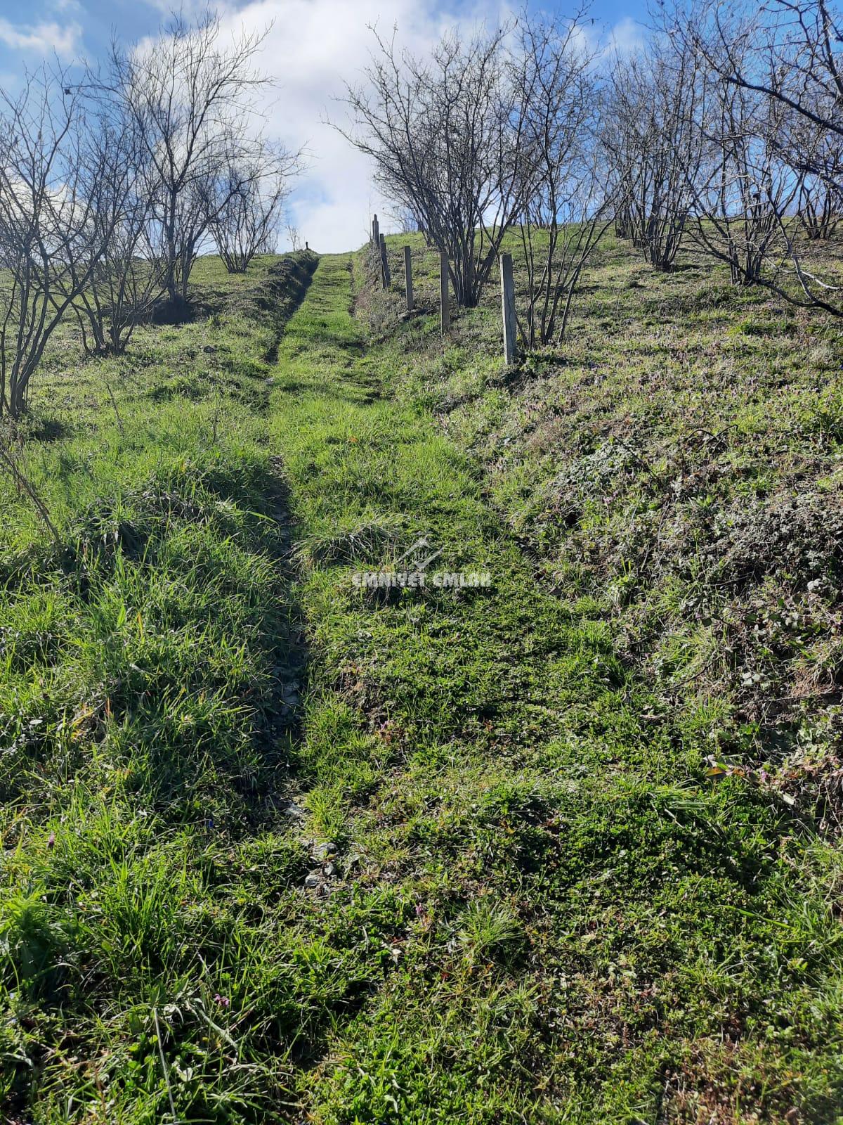 Ereğli Bayat Köyü’nde Deniz Manzaralı Satılık Tarla (1978 m²)