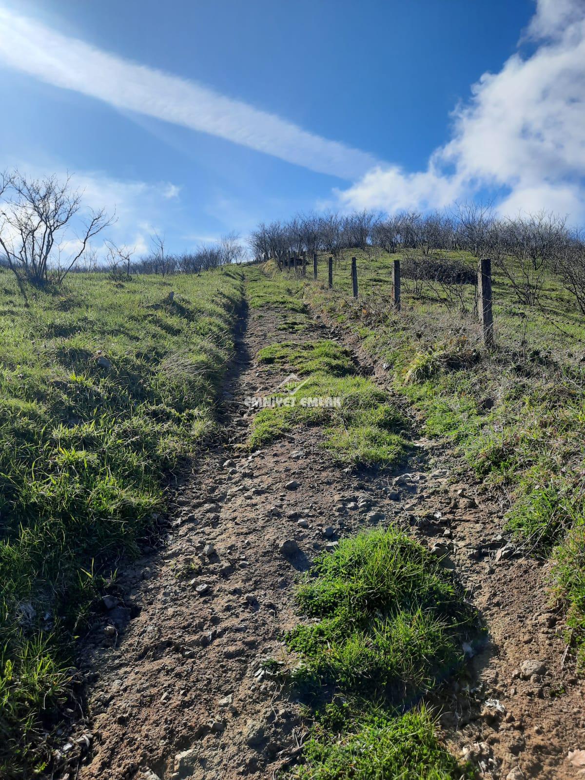 Ereğli Bayat Köyü’nde Deniz Manzaralı Satılık Tarla (1978 m²)