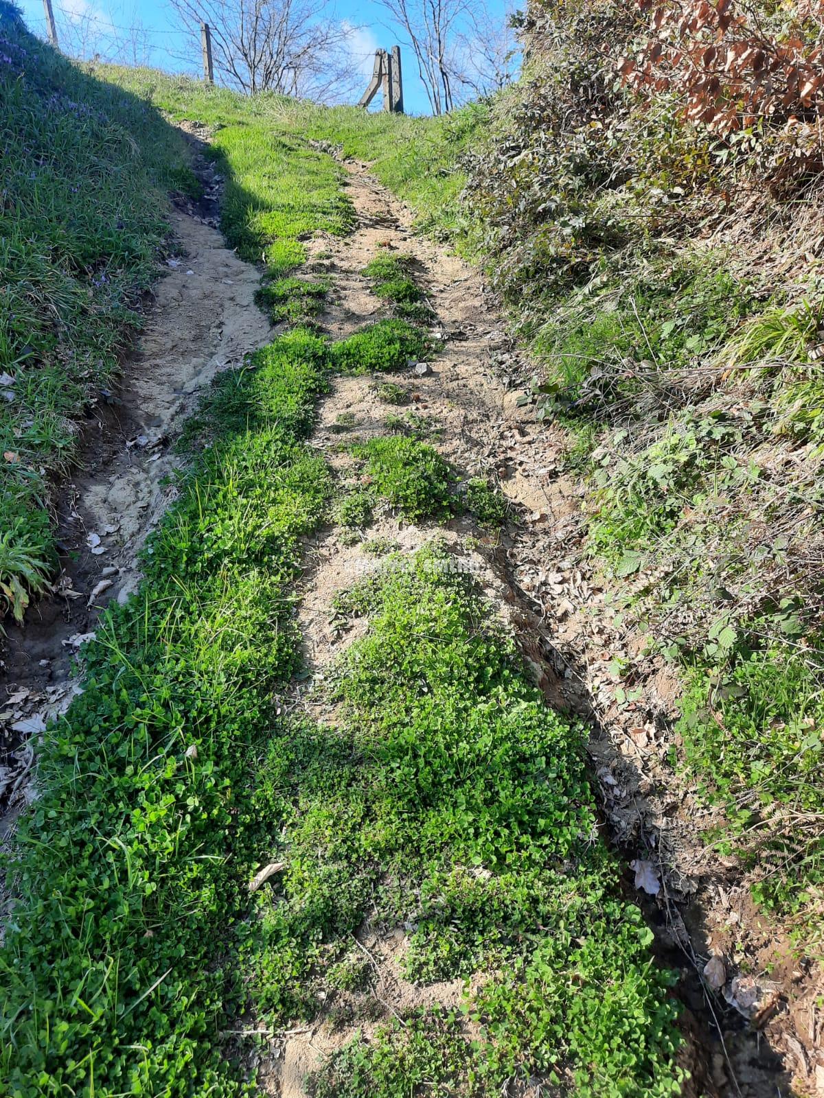 Ereğli Bayat Köyü’nde Deniz Manzaralı Satılık Tarla (1978 m²)