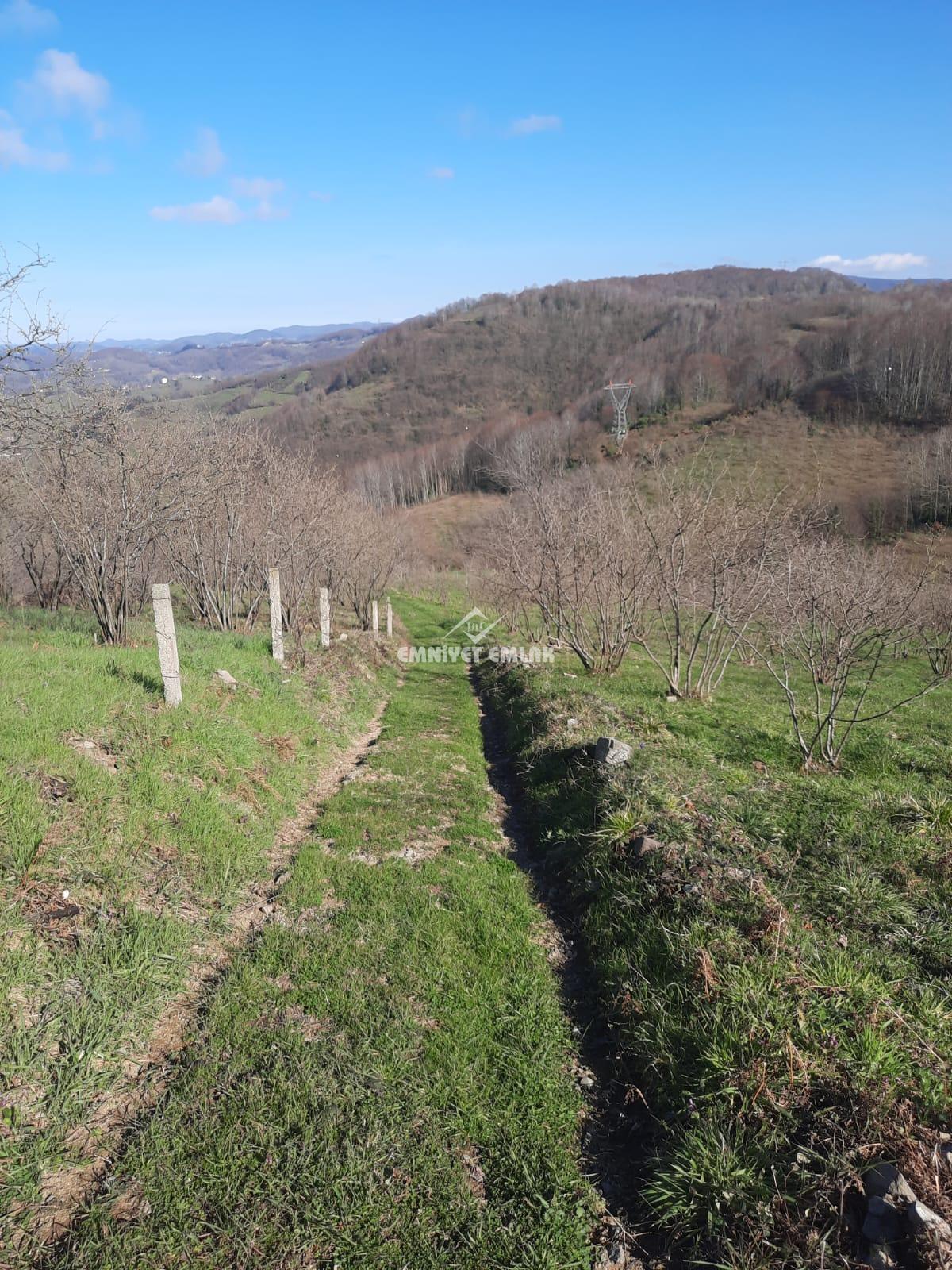 Ereğli Bayat Köyü’nde Deniz Manzaralı Satılık Tarla (1978 m²)