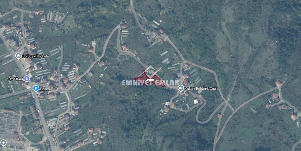 KDZ EREĞLİ BÖLÜCEK MAHALLESİ’NDE 2 DÖNÜM SATILIK FINDIK BAHÇESİ