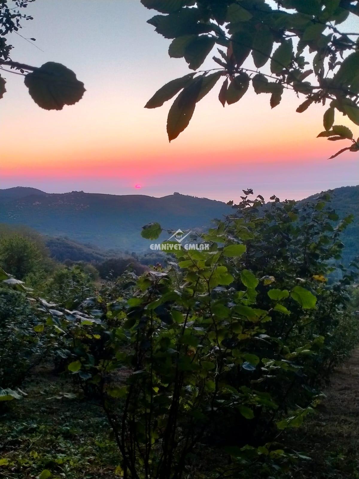 Cemaller Köyü’nde Deniz Manzaralı, 1690m² Satılık Arsa