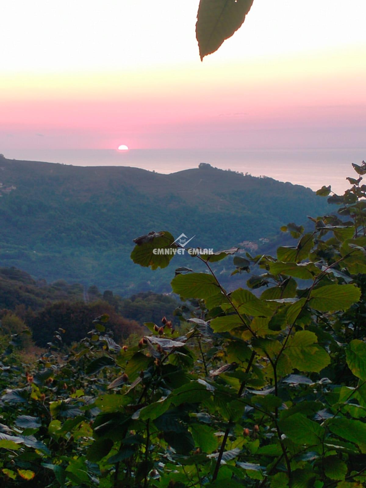 Cemaller Köyü’nde Deniz Manzaralı, 1690m² Satılık Arsa