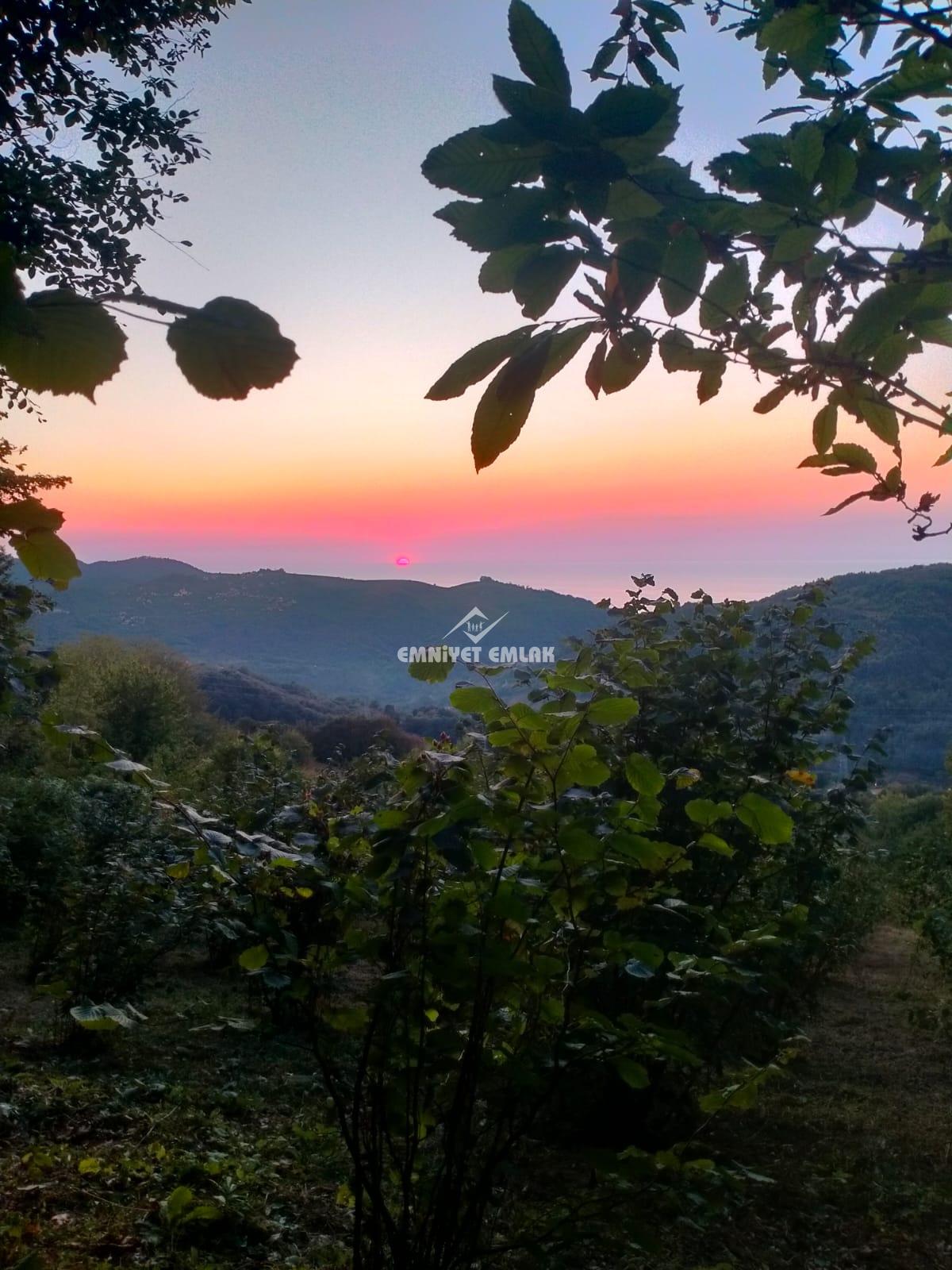 Cemaller Köyü’nde Deniz Manzaralı, 1690m² Satılık Arsa