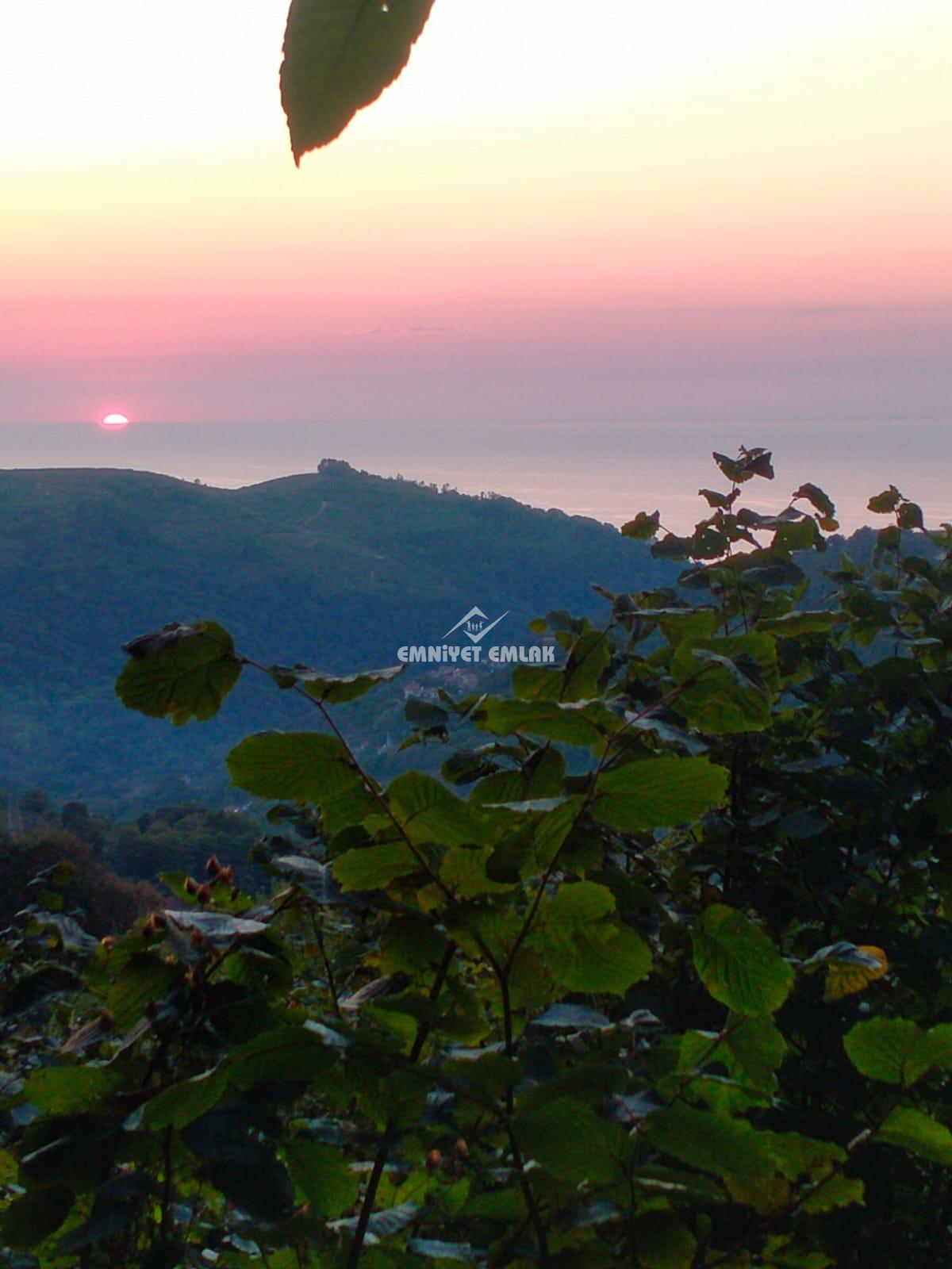 Cemaller Köyü’nde Deniz Manzaralı, 1690m² Satılık Arsa