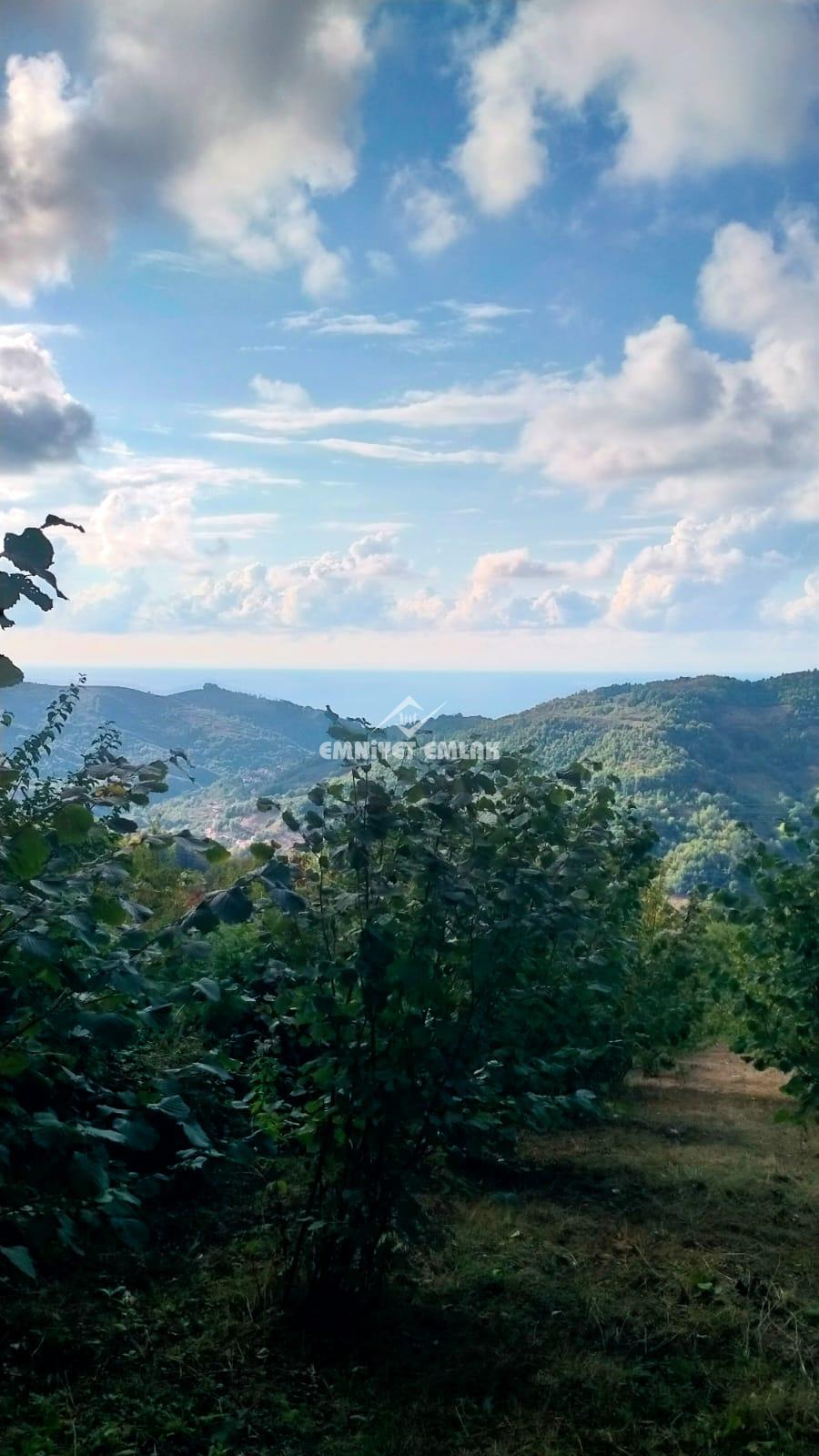 Cemaller Köyü’nde Deniz Manzaralı, 1690m² Satılık Arsa