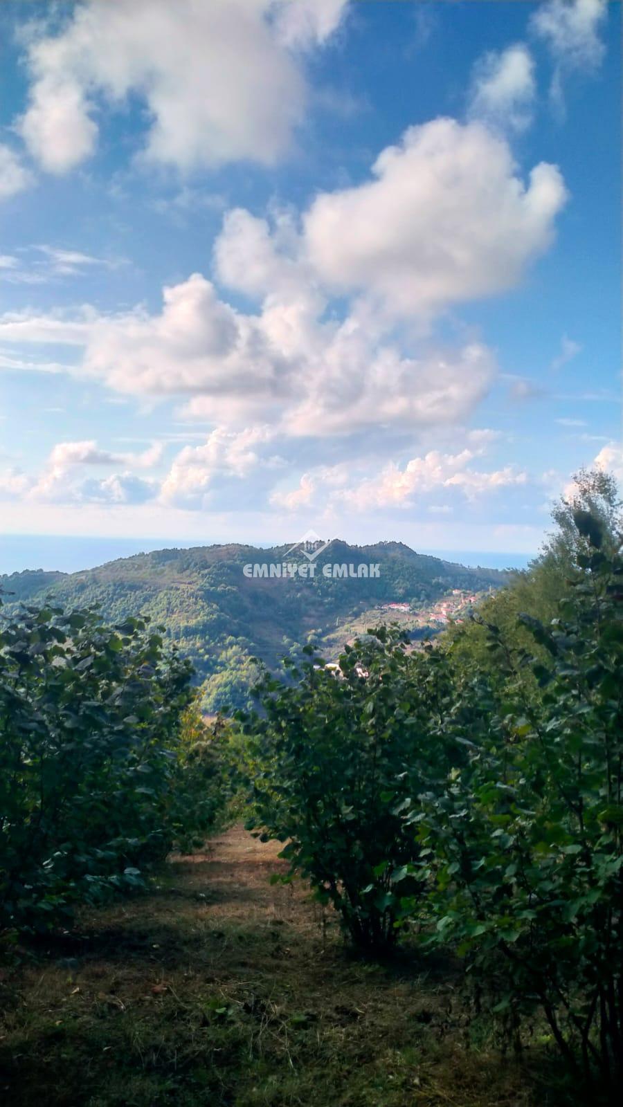 Cemaller Köyü’nde Deniz Manzaralı, 1690m² Satılık Arsa