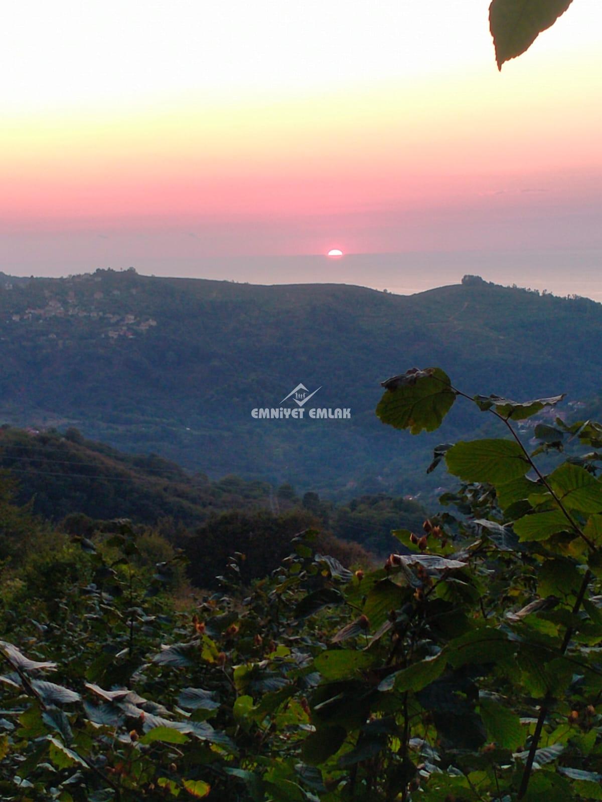 Cemaller Köyü’nde Deniz Manzaralı, 1690m² Satılık Arsa