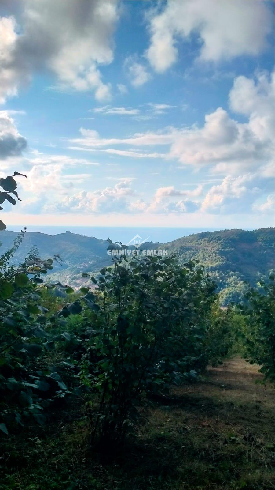 Cemaller Köyü’nde Deniz Manzaralı, 1690m² Satılık Arsa