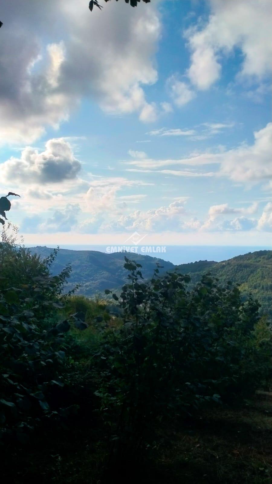 Cemaller Köyü’nde Deniz Manzaralı, 1690m² Satılık Arsa