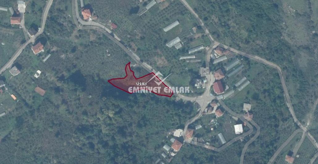 KDZ EREĞLİ BÖLÜCEK MAHALLESİ’NDE 2 DÖNÜM SATILIK FINDIK BAHÇESİ