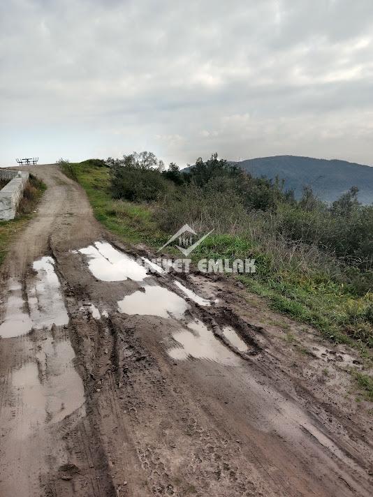 Kdz. Ereğli Topçalı Yatırımlık 1.115 m² Tarla – Gelişime Açık Bölge