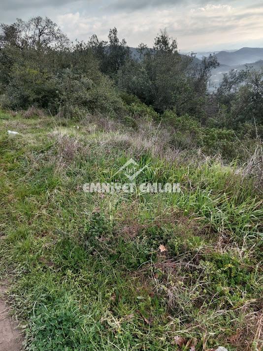 Kdz. Ereğli Topçalı Yatırımlık 1.115 m² Tarla – Gelişime Açık Bölge
