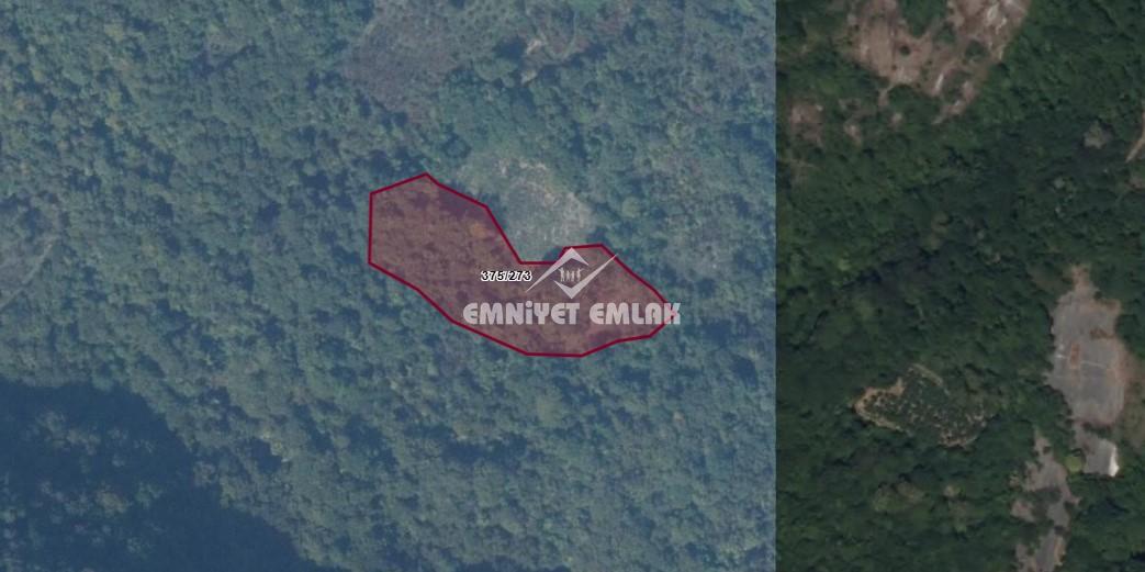 ZONGULDAK EREĞLİ KANDİLLİ’DE 5.966 m² YATIRIMLIK TARLA