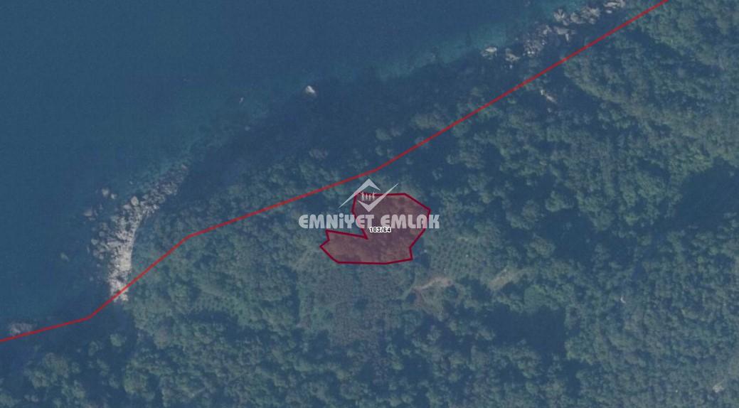 KDZ. EREĞLİ BURUNCUK | DENİZ MANZARALI SATILIK TARLA